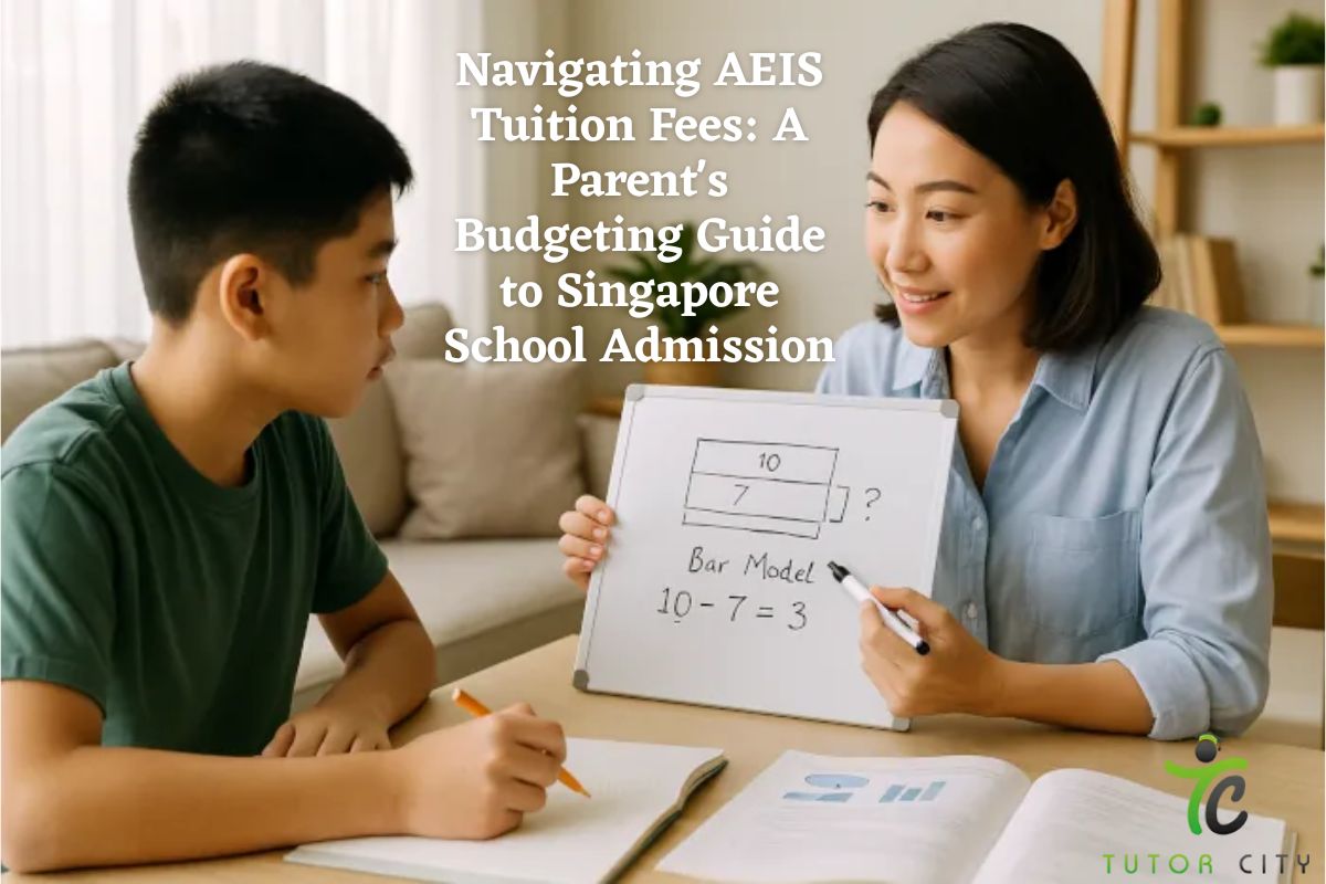 Navigating AEIS Tuition Fees: A Parent's Budgeting Guide to Singapore School Admission