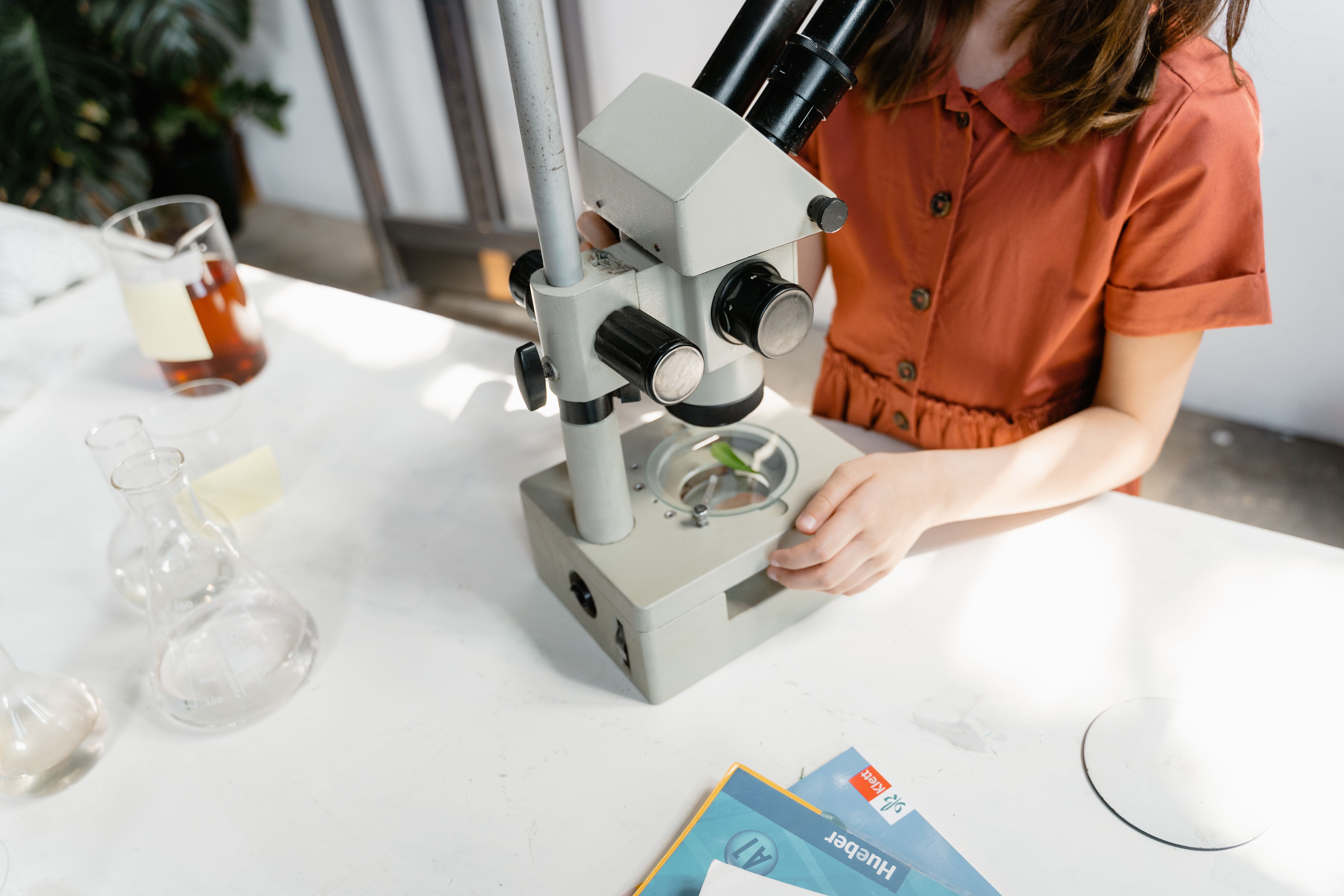 Biology Revision Tips That Help Students Understand Instead of Memorise