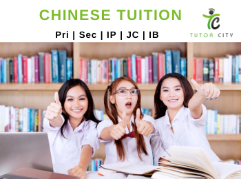 top chinese tuition tutor city