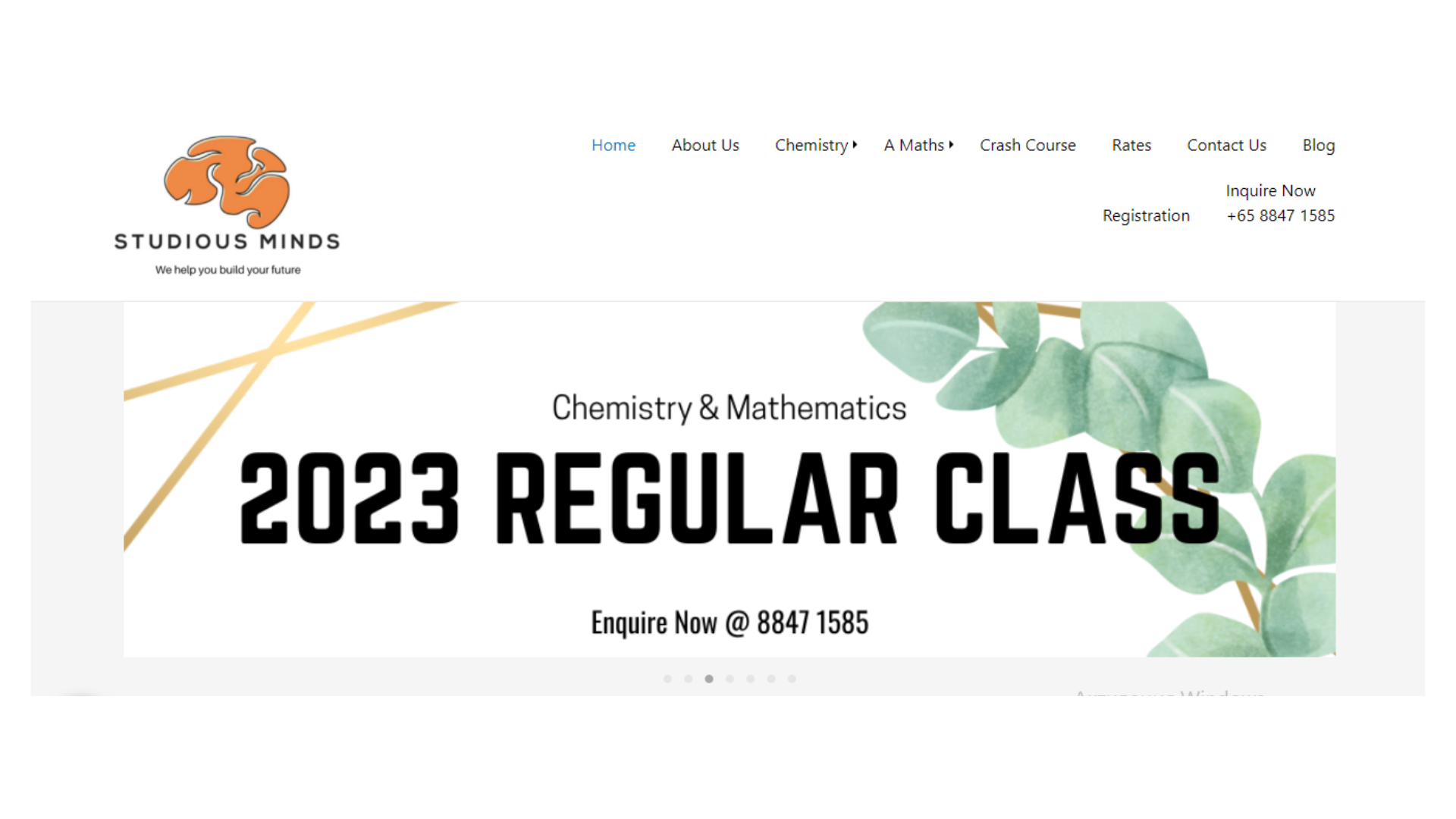 Studious Minds is a Singapore-based educational center founded by Alex and Jes in 2021.